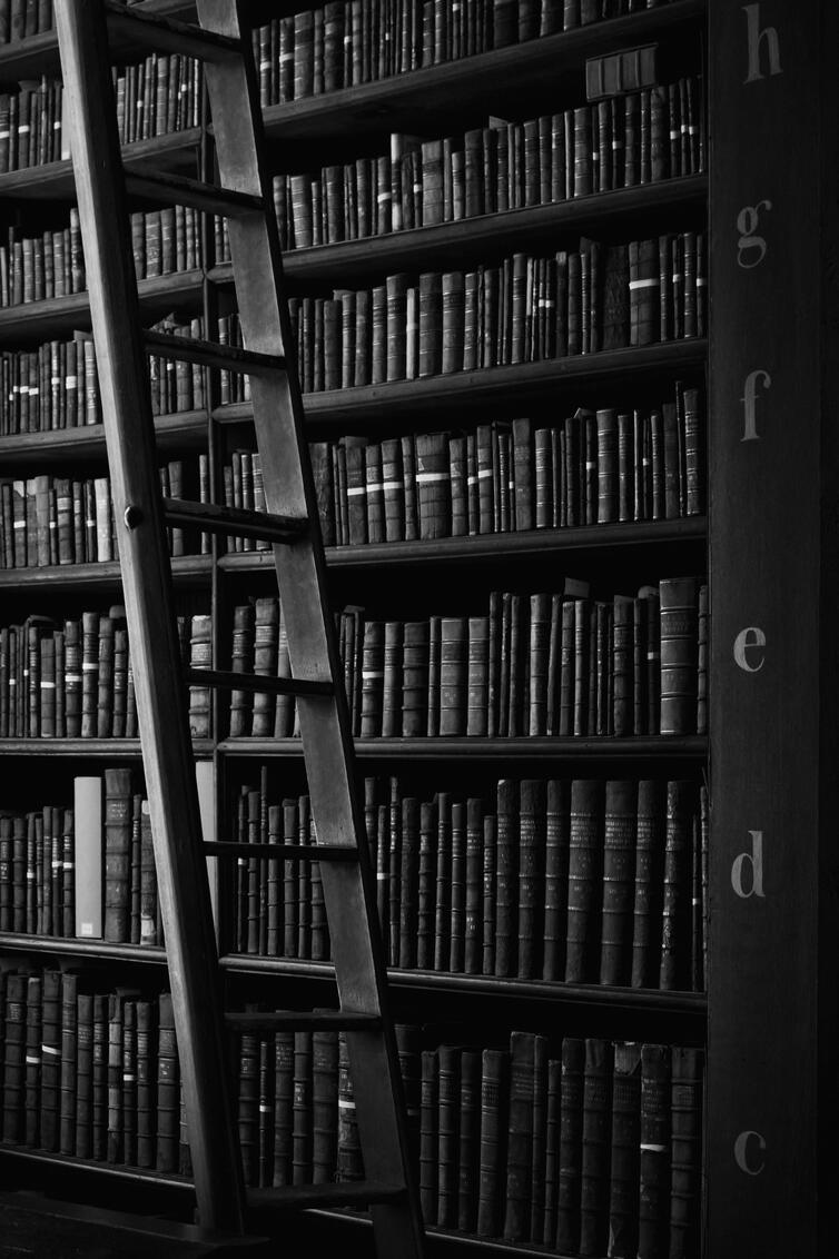 Access books, articles, and study materials.